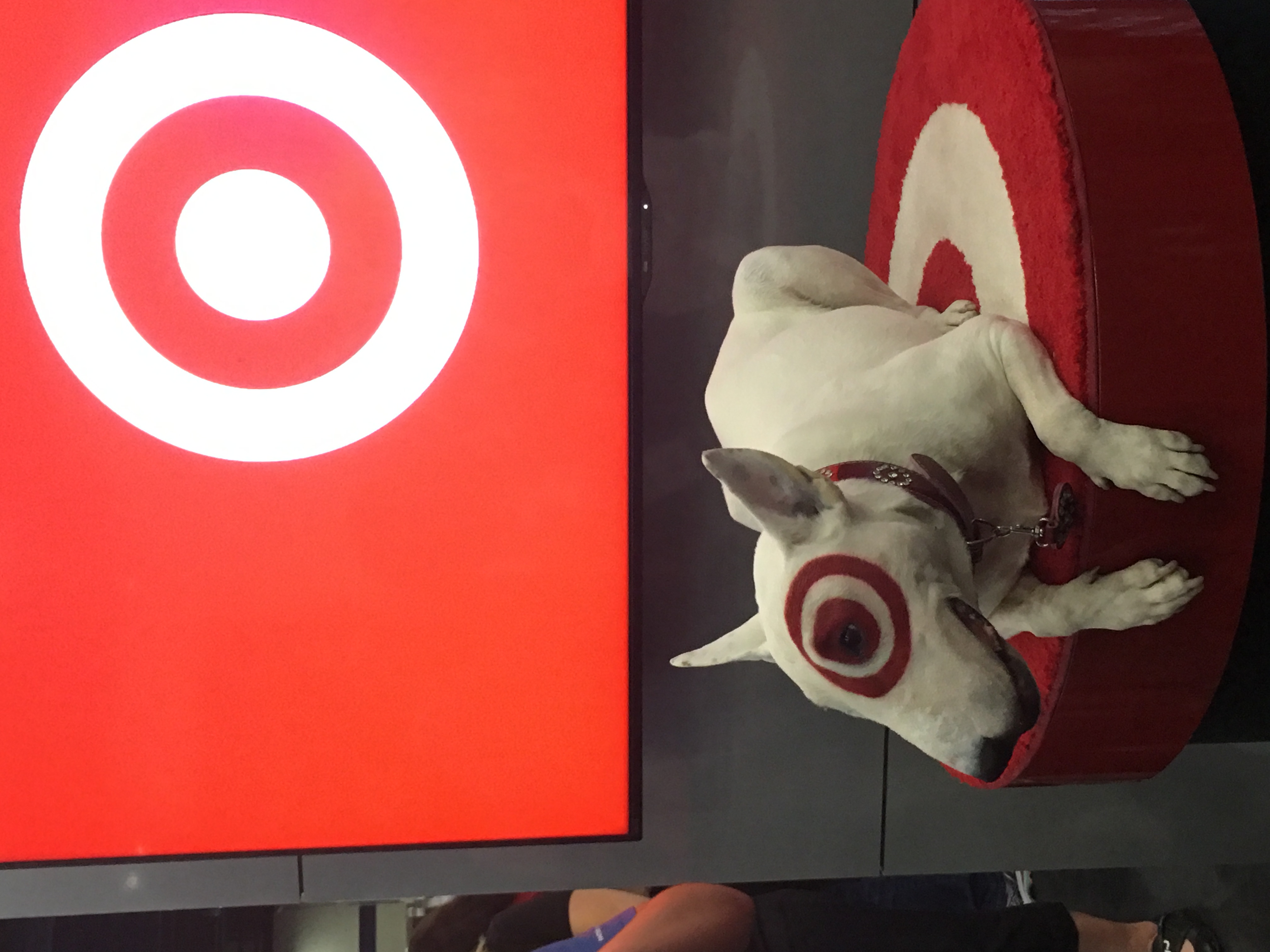 Meeting Target Bullseye