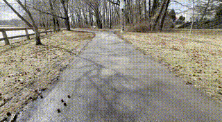 Ice patch on walkway